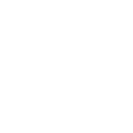 (B) Logo Terra Nova (1080 x 1080 px) - Site 2025 - País Brasil - Final